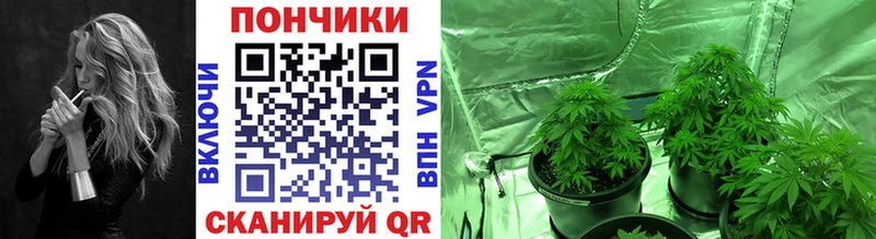 Все наркотики Нерюнгри ГАШИШ Меф мяу мяу