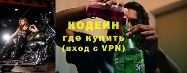 спиды Богородицк