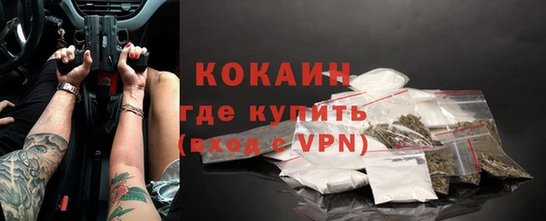 спиды Богородицк