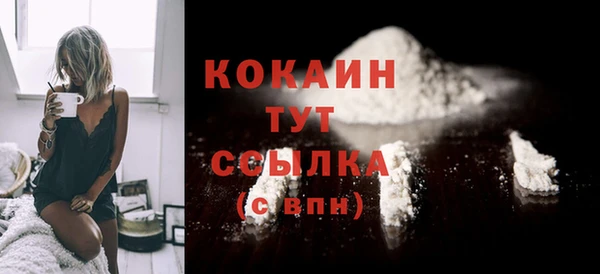 спиды Богородицк