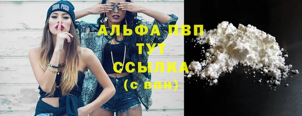 спиды Богородицк