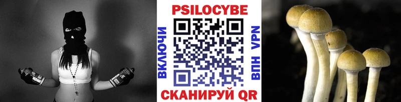 Галлюциногенные грибы MAGIC MUSHROOMS  Нерюнгри 