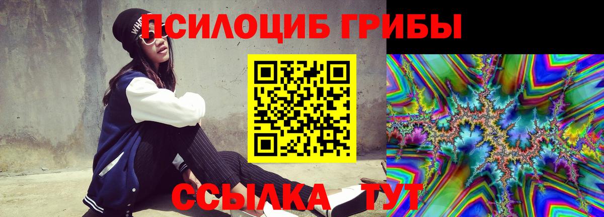Галлюциногенные грибы Cubensis  Вход с VPN  Нерюнгри  Галлюциногенные грибы GOLDEN TEACHER 